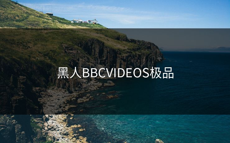 黑人BBCVIDEOS极品