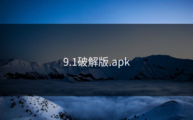 9.1破解版.apk