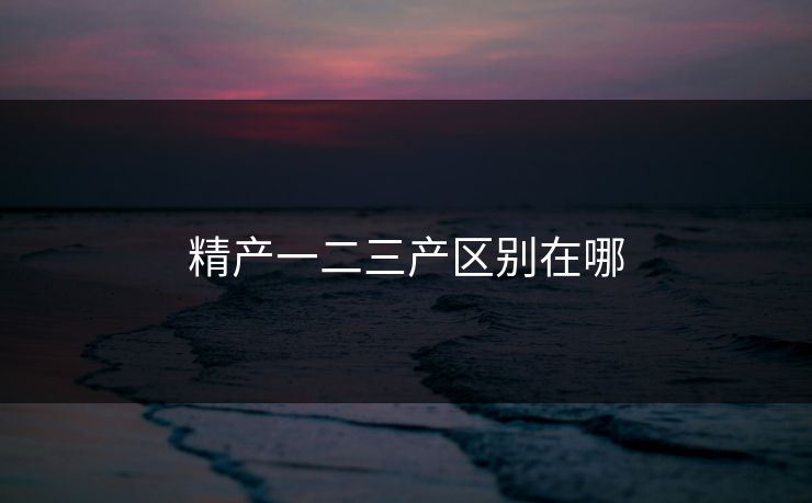 精产一二三产区别在哪