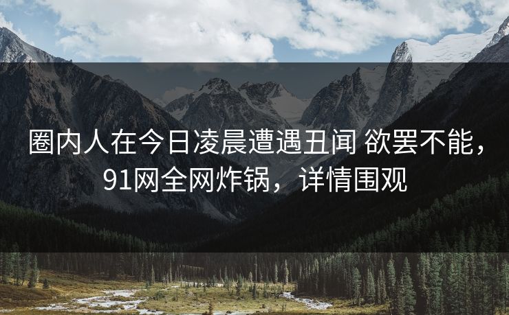 圈内人在今日凌晨遭遇丑闻 欲罢不能，91网全网炸锅，详情围观