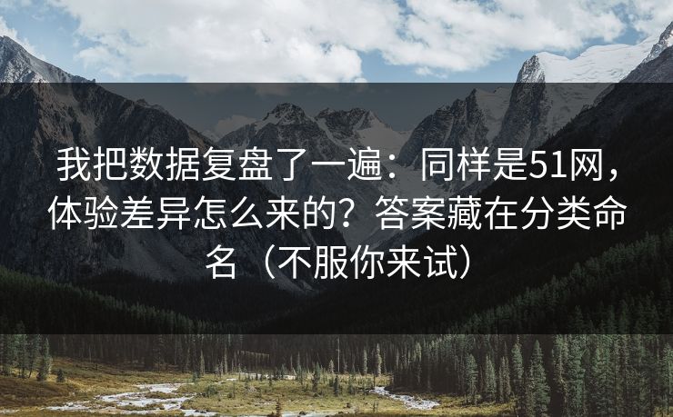 我把数据复盘了一遍：同样是51网，体验差异怎么来的？答案藏在分类命名（不服你来试）